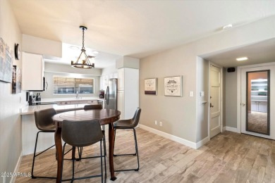 Amazing, single level 2 bedroom, 2 bathroom home in Villa on Scottsdale Shadows in Arizona - for sale on GolfHomes.com, golf home, golf lot