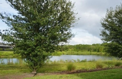 One or more photo(s) has been virtually staged. GREAT on Harmony Golf Preserve in Florida - for sale on GolfHomes.com, golf home, golf lot
