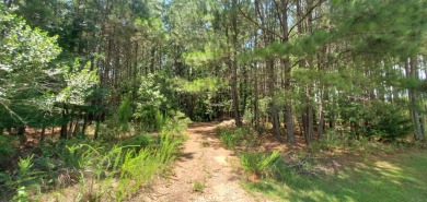 For the Avid Golfer Ready to Build Their Dream!! Tee Off Your on The Club River Forest in Georgia - for sale on GolfHomes.com, golf home, golf lot