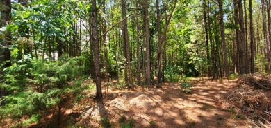 For the Avid Golfer Ready to Build Their Dream!! Tee Off Your on The Club River Forest in Georgia - for sale on GolfHomes.com, golf home, golf lot