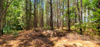 For the Avid Golfer Ready to Build Their Dream!! Tee Off Your on The Club River Forest in Georgia - for sale on GolfHomes.com, golf home, golf lot