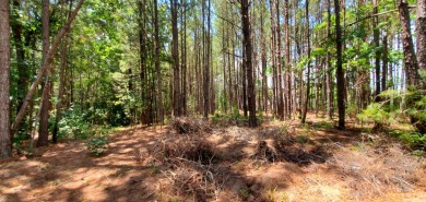 For the Avid Golfer Ready to Build Their Dream!! Tee Off Your on The Club River Forest in Georgia - for sale on GolfHomes.com, golf home, golf lot