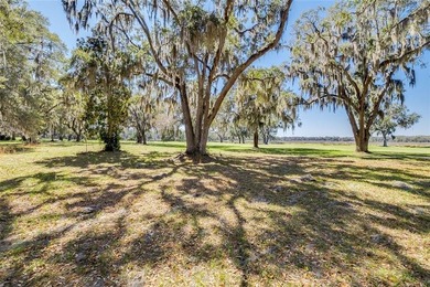 These VIEWS are hard to beat! Gorgeous Golf Views & beyond that on Sapelo Hammock Golf Club in Georgia - for sale on GolfHomes.com, golf home, golf lot