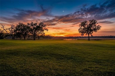 These VIEWS are hard to beat! Gorgeous Golf Views & beyond that on Sapelo Hammock Golf Club in Georgia - for sale on GolfHomes.com, golf home, golf lot
