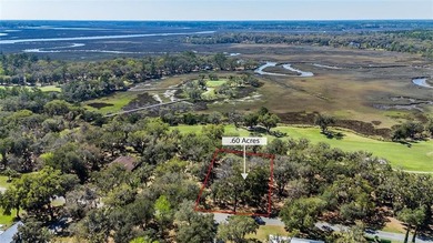 These VIEWS are hard to beat! Gorgeous Golf Views & beyond that on Sapelo Hammock Golf Club in Georgia - for sale on GolfHomes.com, golf home, golf lot
