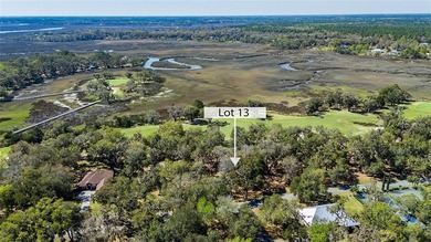 These VIEWS are hard to beat! Gorgeous Golf Views & beyond that on Sapelo Hammock Golf Club in Georgia - for sale on GolfHomes.com, golf home, golf lot