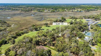 These VIEWS are hard to beat! Gorgeous Golf Views & beyond that on Sapelo Hammock Golf Club in Georgia - for sale on GolfHomes.com, golf home, golf lot