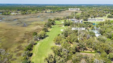 These VIEWS are hard to beat! Gorgeous Golf Views & beyond that on Sapelo Hammock Golf Club in Georgia - for sale on GolfHomes.com, golf home, golf lot