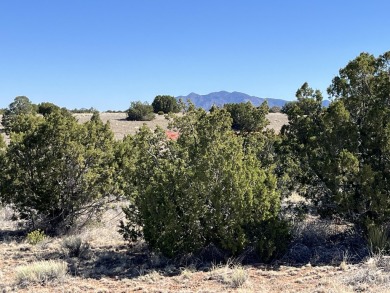View 5 mountain ranges from this oversized San Pedro Overlook on Paa-Ko Ridge Golf Club  in New Mexico - for sale on GolfHomes.com, golf home, golf lot