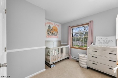Beautifully maintained 3BR split-level backing to a golf course! on High Bridge Hills Golf Club in New Jersey - for sale on GolfHomes.com, golf home, golf lot