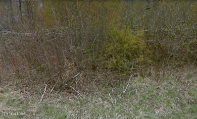 Nice possible buildable lot in the Iroquois subdivision with on Lake Tansi Village Country Club in Tennessee - for sale on GolfHomes.com, golf home, golf lot