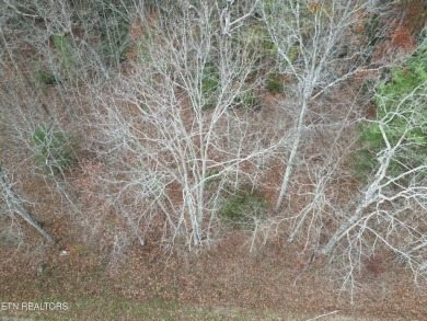 Nice possible buildable lot in the Iroquois subdivision with on Lake Tansi Village Country Club in Tennessee - for sale on GolfHomes.com, golf home, golf lot