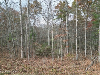 Nice possible buildable lot in the Iroquois subdivision with on Lake Tansi Village Country Club in Tennessee - for sale on GolfHomes.com, golf home, golf lot