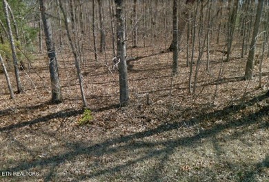 Nice possible buildable lot in the Ottawa subdivision with on Lake Tansi Village Country Club in Tennessee - for sale on GolfHomes.com, golf home, golf lot