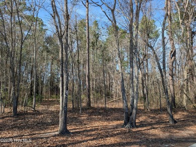 This homesite in the exclusive River Ridge neighborhood of River on River Landing Golf Course in North Carolina - for sale on GolfHomes.com, golf home, golf lot