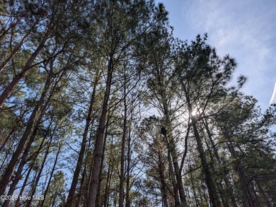 This homesite in the exclusive River Ridge neighborhood of River on River Landing Golf Course in North Carolina - for sale on GolfHomes.com, golf home, golf lot