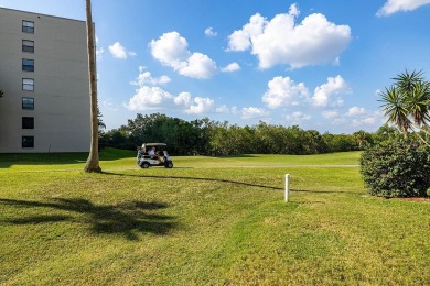 STUNNING CONDO IN COVE CAY! Welcome to this charming 2-bedroom on Cove Cay Country Club in Florida - for sale on GolfHomes.com, golf home, golf lot