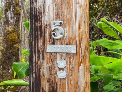 Build your dream home on this front lot in Royal Hawaiian on Volcano Golf and Country Club in Hawaii - for sale on GolfHomes.com, golf home, golf lot