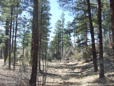 Wonderful building lot near the Bison Golf Course area. Great on Bison Golf and Country Club in Arizona - for sale on GolfHomes.com, golf home, golf lot