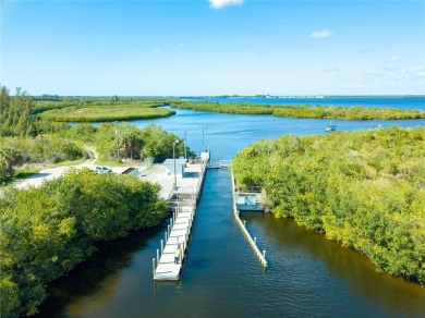 Auction Property. AUCTION PROPERTY.  SEPTEMBER 18 .3:00 PM on Rotonda Golf and Country Club - Long Marsh  in Florida - for sale on GolfHomes.com, golf home, golf lot