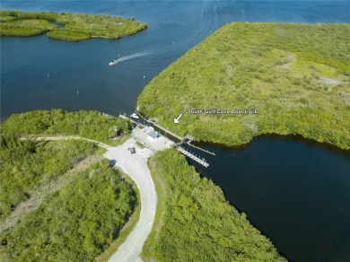 Auction Property. AUCTION PROPERTY.  SEPTEMBER 18 at 3:00 PM on Rotonda Golf and Country Club - Long Marsh  in Florida - for sale on GolfHomes.com, golf home, golf lot
