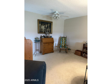 Looking for a Gemini home in Sun City, just moments from the Sun on Sun City Lakes West and East in Arizona - for sale on GolfHomes.com, golf home, golf lot