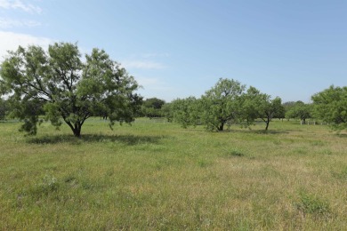 Enjoy stunning, unspoiled, and awe-inspiring Texas Hill Country on Ram Rock Golf Course in Texas - for sale on GolfHomes.com, golf home, golf lot