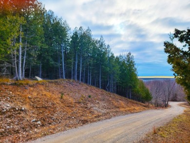 Four buildable acres between Maxey Rd and Lake Bluff DR in on Arcadia Bluffs Golf Club in Michigan - for sale on GolfHomes.com, golf home, golf lot