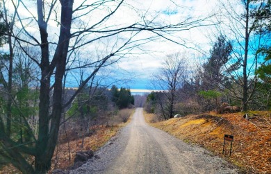 Four buildable acres between Maxey Rd and Lake Bluff DR in on Arcadia Bluffs Golf Club in Michigan - for sale on GolfHomes.com, golf home, golf lot