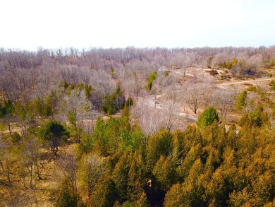 Four buildable acres between Maxey Rd and Lake Bluff DR in on Arcadia Bluffs Golf Club in Michigan - for sale on GolfHomes.com, golf home, golf lot