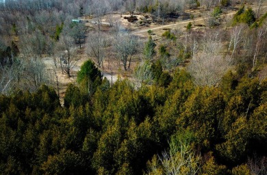 Four buildable acres between Maxey Rd and Lake Bluff DR in on Arcadia Bluffs Golf Club in Michigan - for sale on GolfHomes.com, golf home, golf lot