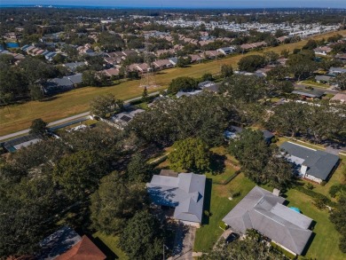 You just landed on your perfect home! With a wealth of space on Countryside Country Club in Florida - for sale on GolfHomes.com, golf home, golf lot