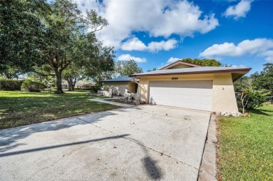 You just landed on your perfect home! With a wealth of space on Countryside Country Club in Florida - for sale on GolfHomes.com, golf home, golf lot