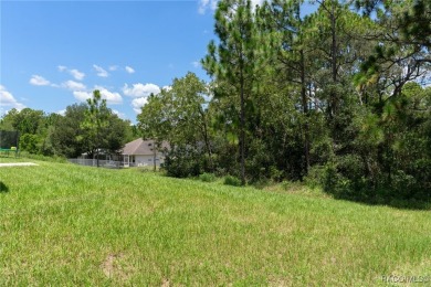 What a deal for this 3-year-old home in Citrus Springs! No on Pine Ridge Community Golf and Country Club in Florida - for sale on GolfHomes.com, golf home, golf lot