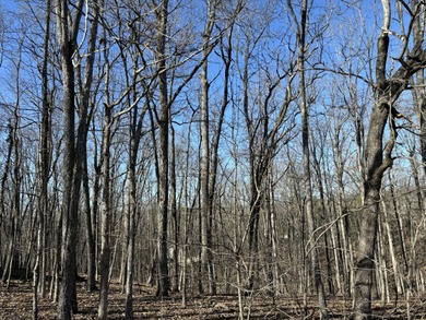 Discover the perfect place to build your dream home at 239 on Druid Hills Golf Club in Tennessee - for sale on GolfHomes.com, golf home, golf lot