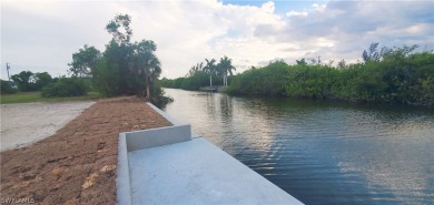 **Newly Completed SEAWALL with CONCRETE DOCK!**

Here's a great on Coral Oaks Golf Course in Florida - for sale on GolfHomes.com, golf home, golf lot