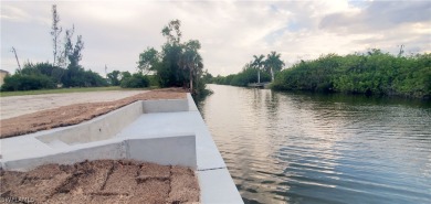 **Newly Completed SEAWALL with CONCRETE DOCK!**

Here's a great on Coral Oaks Golf Course in Florida - for sale on GolfHomes.com, golf home, golf lot