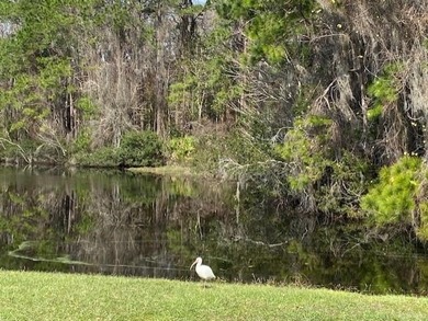 Wow,Brand New Roof February 2026! Exterior Painted 2024,Interior on St. Johns Golf Club in Florida - for sale on GolfHomes.com, golf home, golf lot