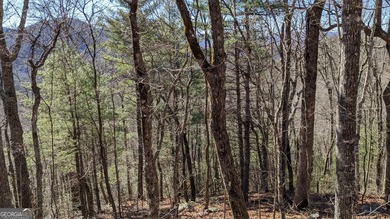 This lot offers stunning mountain views. Sky Valley, Georgia's on Sky Valley Resort and Country Club in Georgia - for sale on GolfHomes.com, golf home, golf lot