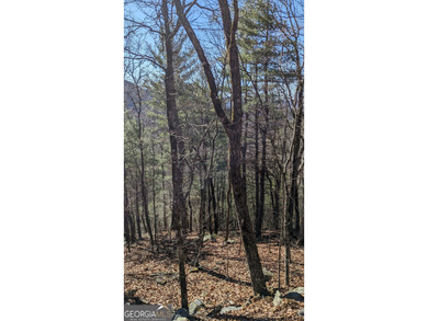 This lot offers stunning mountain views. Sky Valley, Georgia's on Sky Valley Resort and Country Club in Georgia - for sale on GolfHomes.com, golf home, golf lot