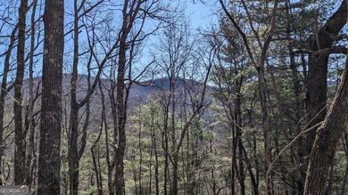 This lot offers stunning mountain views. Sky Valley, Georgia's on Sky Valley Resort and Country Club in Georgia - for sale on GolfHomes.com, golf home, golf lot