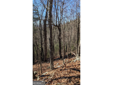 This lot offers stunning mountain views. Sky Valley, Georgia's on Sky Valley Resort and Country Club in Georgia - for sale on GolfHomes.com, golf home, golf lot