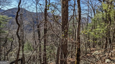 This lot offers stunning mountain views. Sky Valley, Georgia's on Sky Valley Resort and Country Club in Georgia - for sale on GolfHomes.com, golf home, golf lot