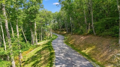 LAND WALK & AMENITIES TOUR THIS SATURDAY 11/9/24. SEE WHAT YOU on Natures Walk At Chinquapin in North Carolina - for sale on GolfHomes.com, golf home, golf lot