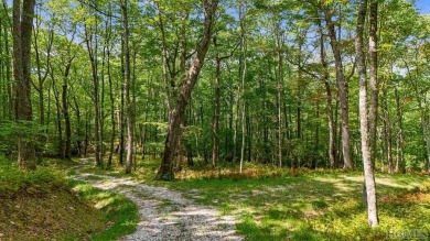 LAND WALK & AMENITIES TOUR THIS SATURDAY 11/9/24. SEE WHAT YOU on Natures Walk At Chinquapin in North Carolina - for sale on GolfHomes.com, golf home, golf lot