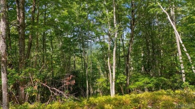 LAND WALK & AMENITIES TOUR THIS SATURDAY 11/9/24. SEE WHAT YOU on Natures Walk At Chinquapin in North Carolina - for sale on GolfHomes.com, golf home, golf lot