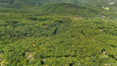 LAND WALK & AMENITIES TOUR THIS SATURDAY 11/9/24. SEE WHAT YOU on Natures Walk At Chinquapin in North Carolina - for sale on GolfHomes.com, golf home, golf lot