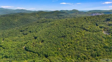 LAND WALK & AMENITIES TOUR THIS SATURDAY 11/9/24. SEE WHAT YOU on Natures Walk At Chinquapin in North Carolina - for sale on GolfHomes.com, golf home, golf lot