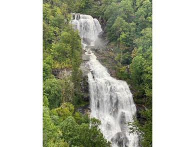 LAND WALK & AMENITIES TOUR THIS SATURDAY 11/9/24. SEE WHAT YOU on Natures Walk At Chinquapin in North Carolina - for sale on GolfHomes.com, golf home, golf lot