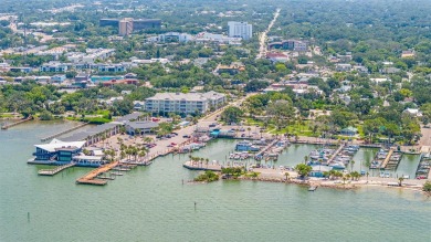 Welcome to this beautifully updated single-family pool home in on The Dunedin Country Club in Florida - for sale on GolfHomes.com, golf home, golf lot